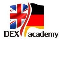 Scoala de Vara Dex Academy